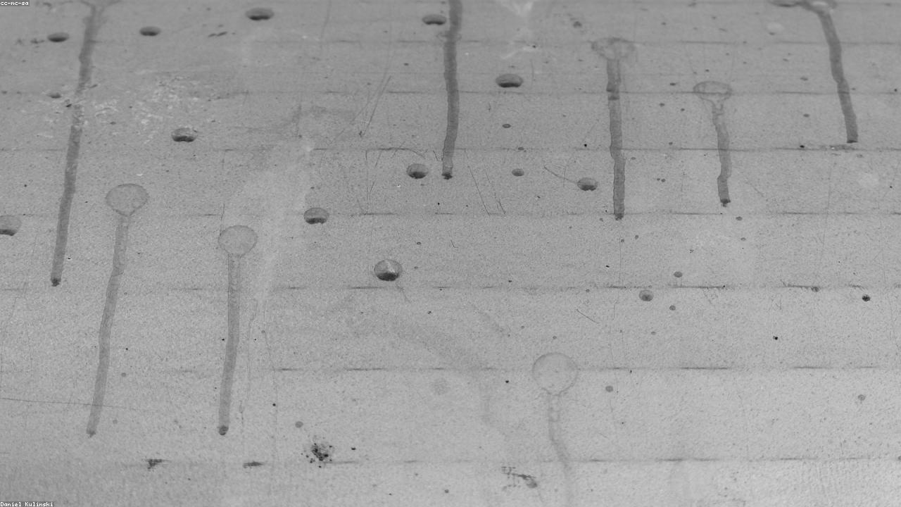 Fluid Value Networks Infographic