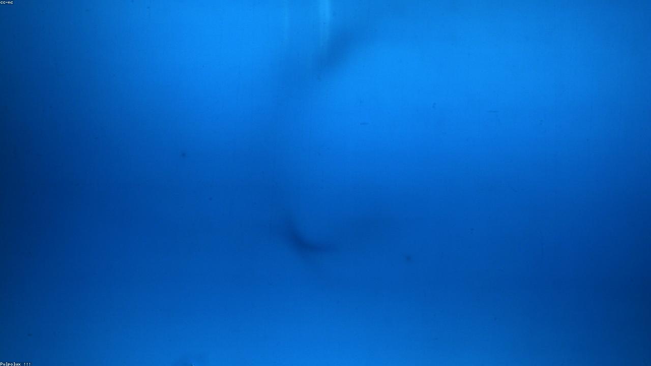 Hyper-Modular Curations Infographic