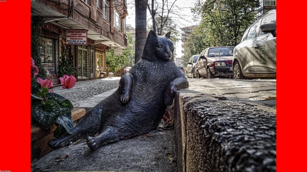 Regenerative Agency Infographic